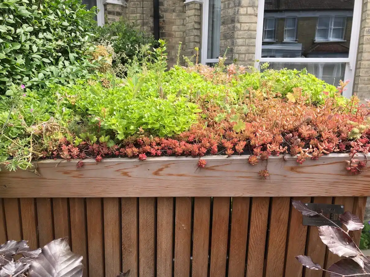 Bike shed installation featured in a Brighton Bike Sheds news update (5 of 9)